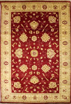 6'5x10'2 Chobi Ziegler Area Rug made using Vegetable dyes with Wool Pile - Floral Design | Hand-Knotted in Red