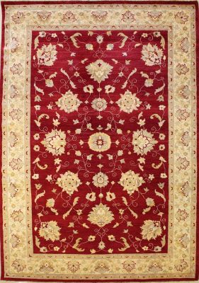 6'6x10'1 Chobi Ziegler Area Rug made using Vegetable dyes with Wool Pile - Floral Design | Hand-Knotted in Red